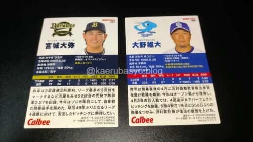 プロ野球チップス2024で引いたカード