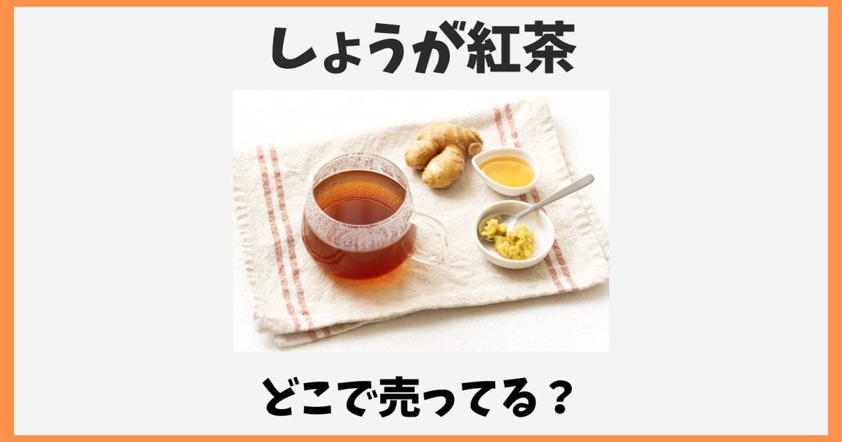 生姜紅茶はどこで売ってる？カルディや成城石井など市販の取扱店