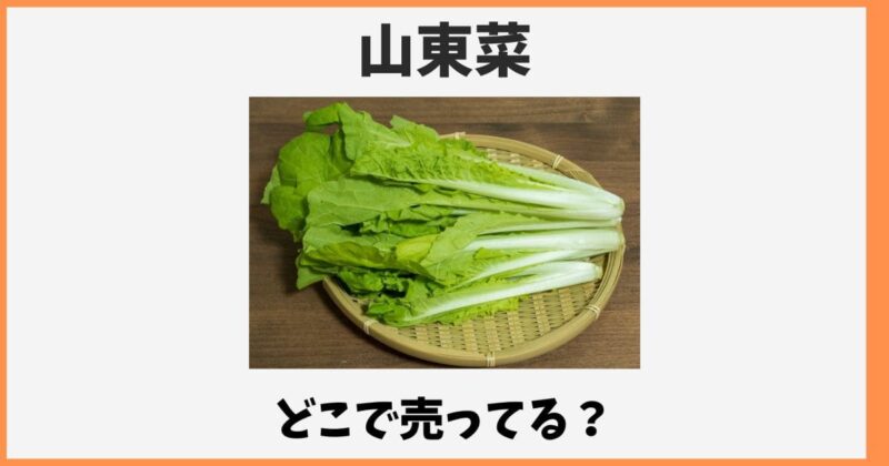 山東菜はどこで売ってる？スーパーや通販など販売店情報