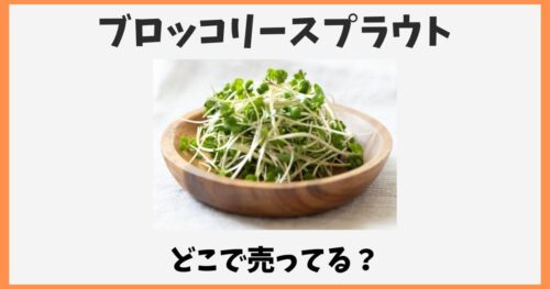 ブロッコリースプラウトはどこで買える？イオンや業務スーパー